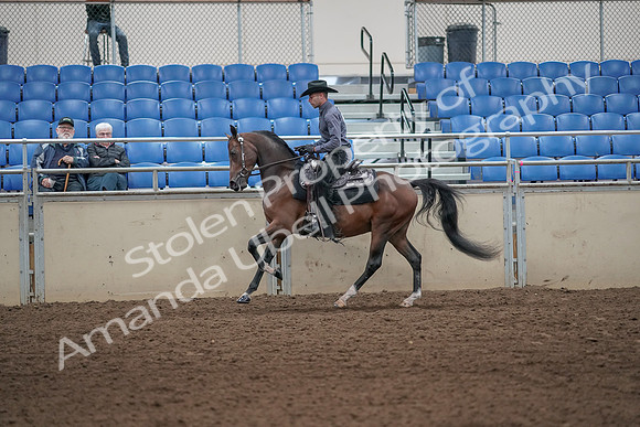 2019 Morgan Horse Show - Aug 31, 2019 - 06107