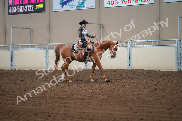2019 Morgan Horse Show - Aug 30, 2019 - 16915