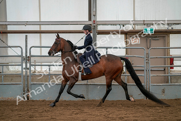 July 19, 2019 - 3903