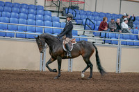 2020 - AB Morgan Horse - Sun, Sept 06 - 00893