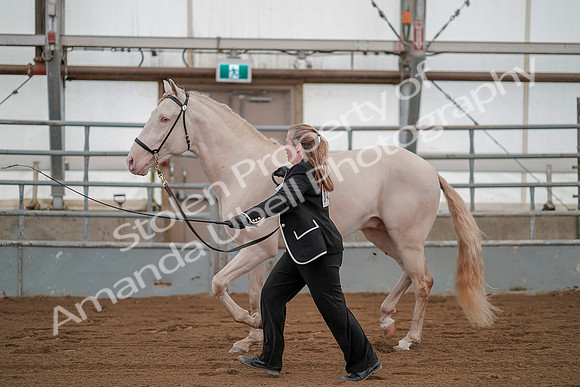 July 19, 2019 - 1338
