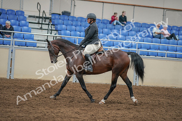2020 - AB Morgan Horse - Sat, Sept 05 - 09317
