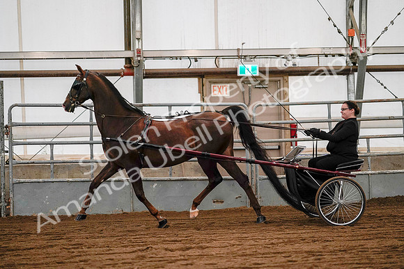 July 19, 2019 - 7048