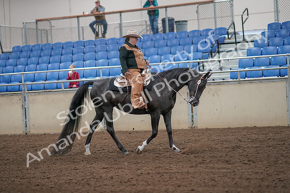2019 Morgan Horse Show - Aug 31, 2019 - 06198