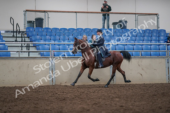 2019 Morgan Horse Show - Aug 31, 2019 - 09352