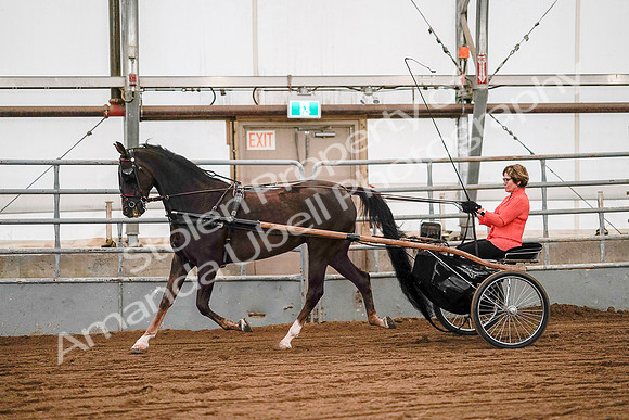 July 19, 2019 - 6988