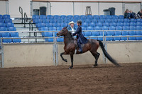 2019 Morgan Horse Show - Sept 01, 2019 - 12747
