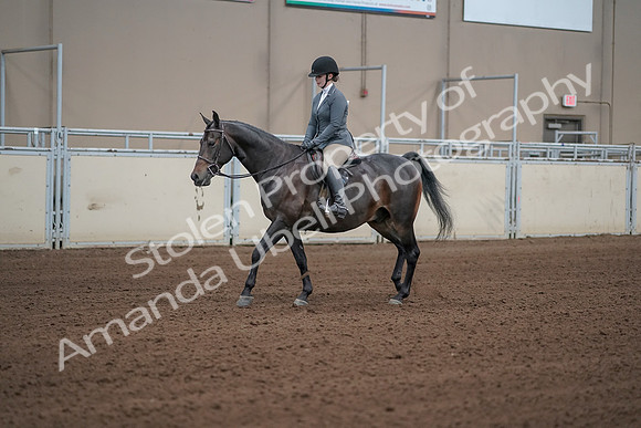 2019 Morgan Horse Show - Sept 01, 2019 - 10946