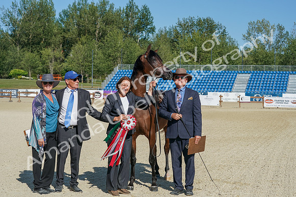 2024 - WCB - July 19 - 03764