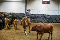 Herd Work - Limited Non Pro