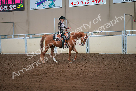 2019 Morgan Horse Show - Aug 30, 2019 - 16924
