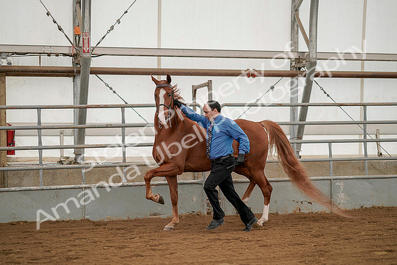July 19, 2019 - 1383