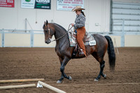 2020 - AB Morgan Horse - Fri, Sept 04 - 00054