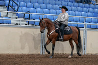 2020 - AB Morgan Horse - Fri, Sept 04 - 05700