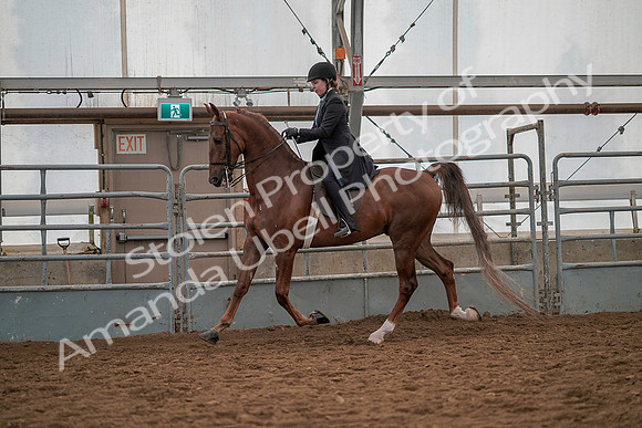 July 19, 2019 - 12955