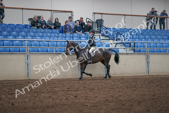 2019 Morgan Horse Show - Aug 31, 2019 - 20412