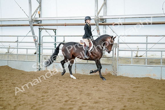 July 21, 2019 - 03409