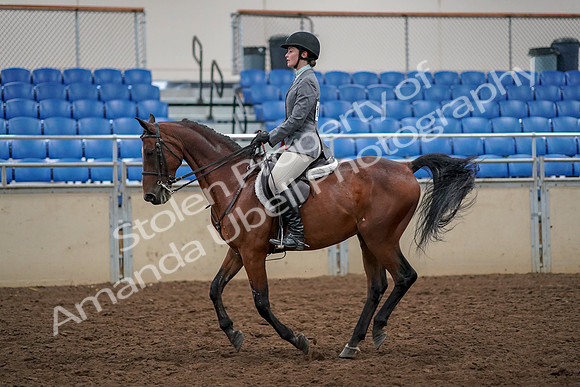 2019 Morgan Horse Show - Aug 30, 2019 - 23460