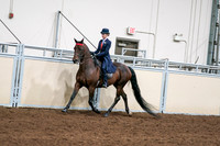 2020 - AB Morgan Horse - Sat, Sept 05 - 08529