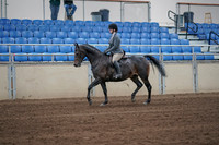 2019 Morgan Horse Show - Sept 01, 2019 - 10886