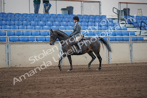 2019 Morgan Horse Show - Sept 01, 2019 - 10886