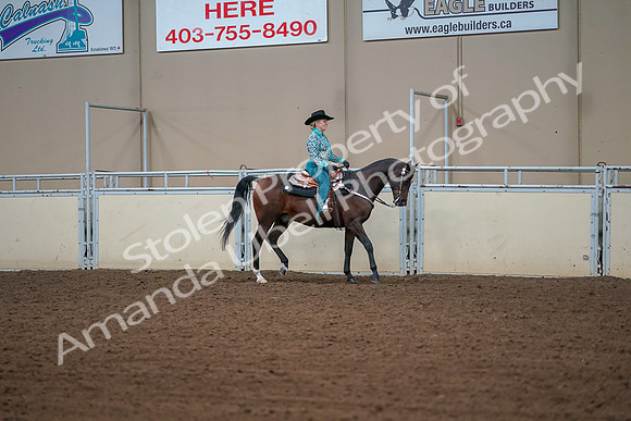 2019 Morgan Horse Show - Aug 30, 2019 - 17034