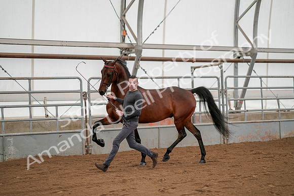 July 19, 2019 - 1180