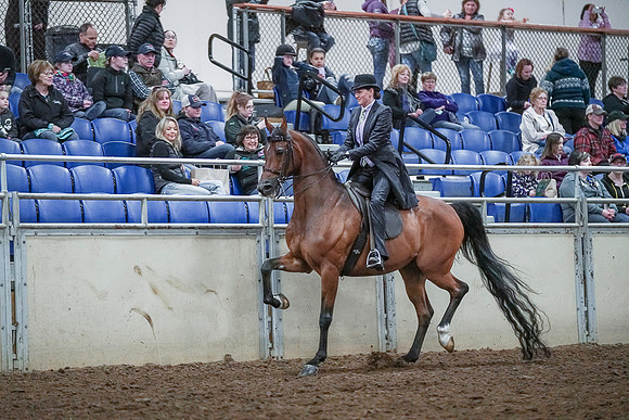 Spring Fling - Saturday - April 20, 2019  -  00644