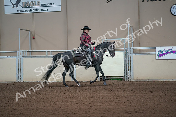 2019 Morgan Horse Show - Aug 31, 2019 - 10728