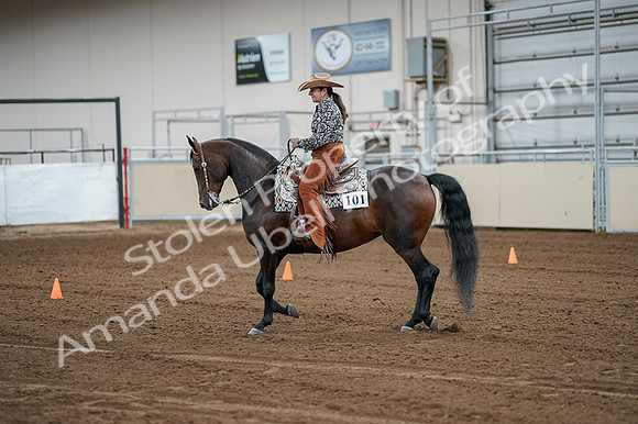 2020 - AB Morgan Horse - Fri, Sept 04 - 00077