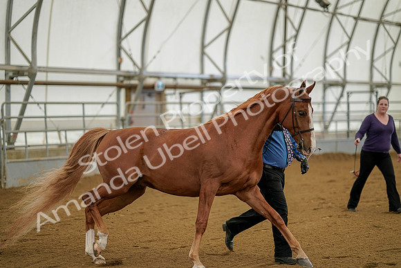 July 19, 2019 - 904