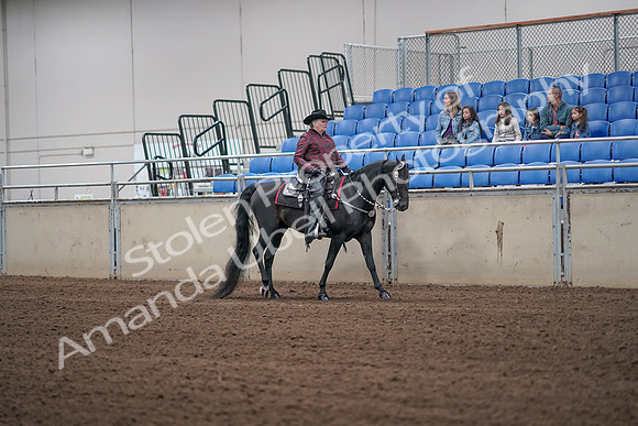 2019 Morgan Horse Show - Aug 31, 2019 - 10656