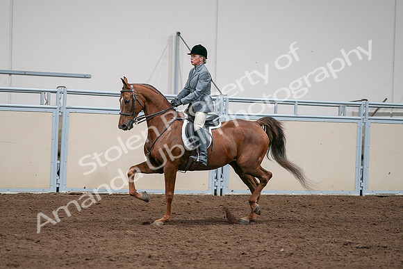 2020 - AB Morgan Horse - Sat, Sept 05 - 03073