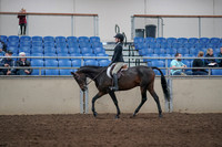2019 Morgan Horse Show - Aug 31, 2019 - 08040