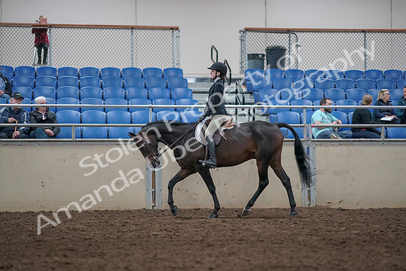 2019 Morgan Horse Show - Aug 31, 2019 - 08040