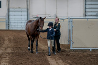 2020 - AB Morgan Horse - Fri, Sept 04 - 00989