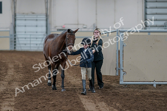 2020 - AB Morgan Horse - Fri, Sept 04 - 00989
