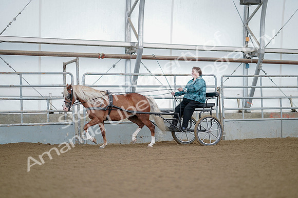 July 21, 2019 - 06580