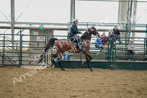 July 21, 2019 - 01868