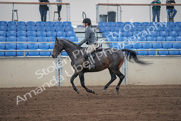 2019 Morgan Horse Show - Sept 01, 2019 - 11000