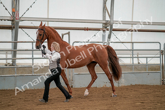 July 19, 2019 - 1350