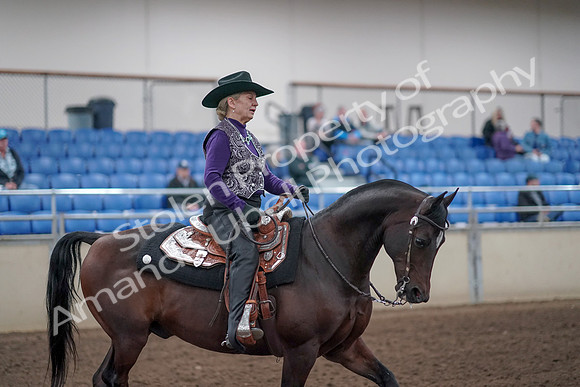 2019 Morgan Horse Show - Aug 31, 2019 - 10789