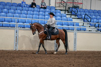 2020 - AB Morgan Horse - Fri, Sept 04 - 05704