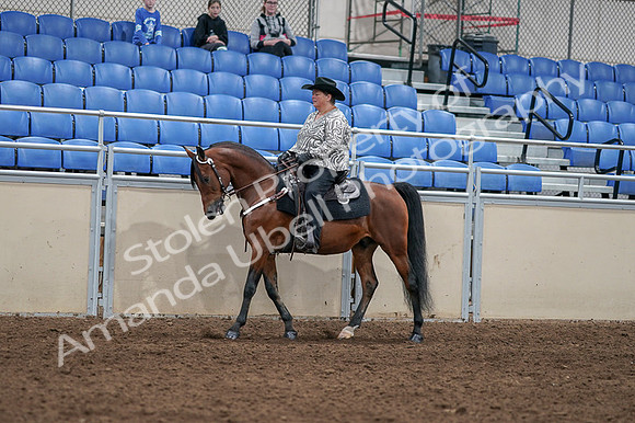 2020 - AB Morgan Horse - Fri, Sept 04 - 05704