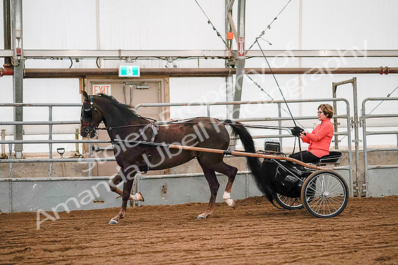 July 19, 2019 - 6983