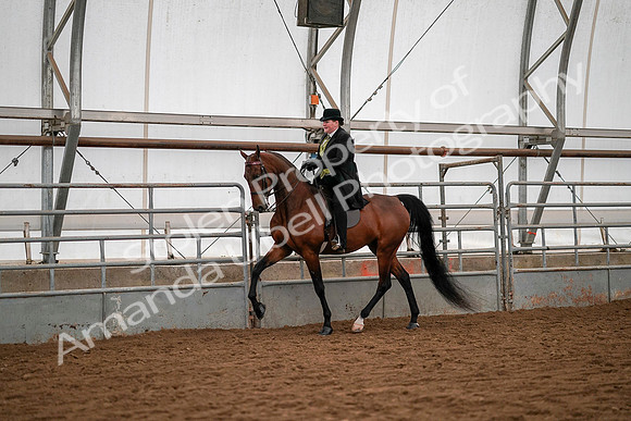 July 19, 2019 - 10493