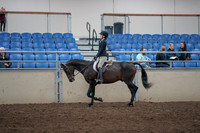 2019 Morgan Horse Show - Aug 31, 2019 - 08037