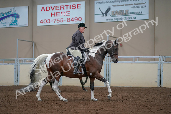 2019 Morgan Horse Show - Aug 30, 2019 - 16445