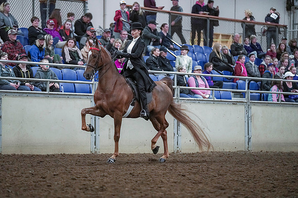 Spring Fling - Saturday - April 20, 2019  -  00460