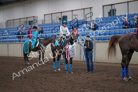 2019 Morgan Horse Show - Aug 31, 2019 - 10137